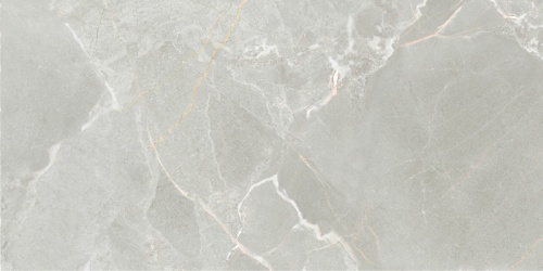 NR6030446-M 