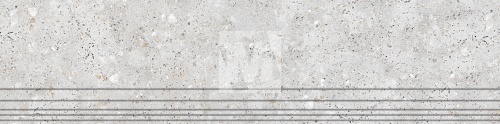 GNR12030429-GM