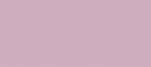 130081